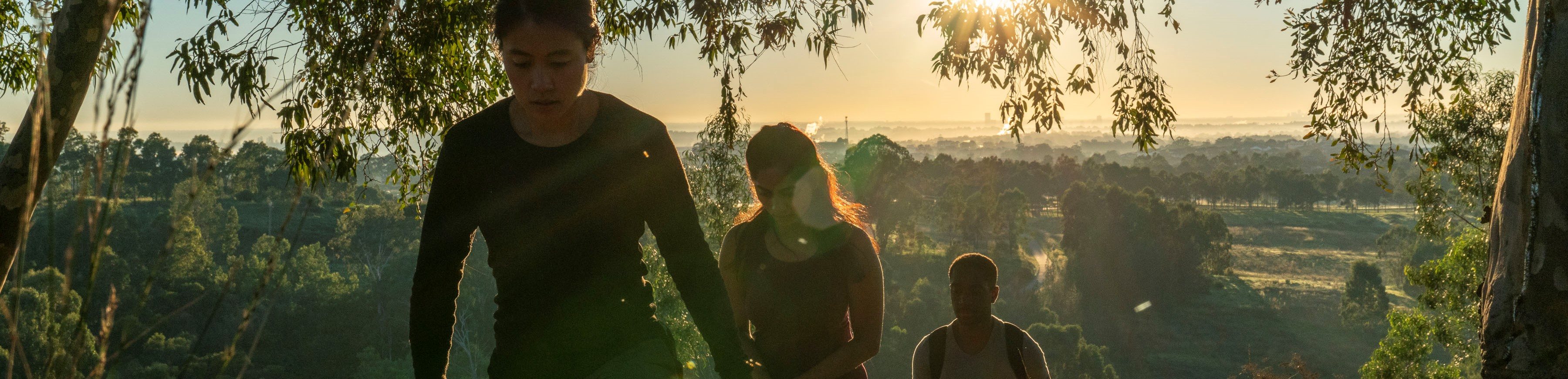 Three people walking together through trees at sunset