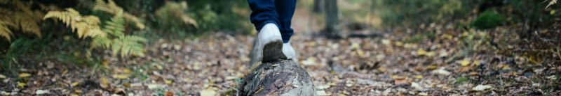 A person walking along a forest path
