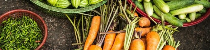 Fresh vegetables in baskets