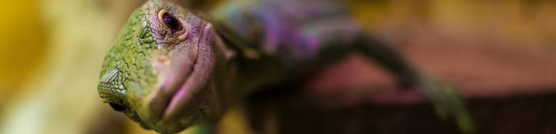 philipp torres crop resize
